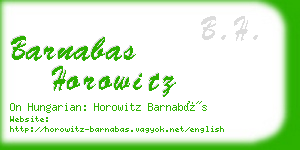 barnabas horowitz business card